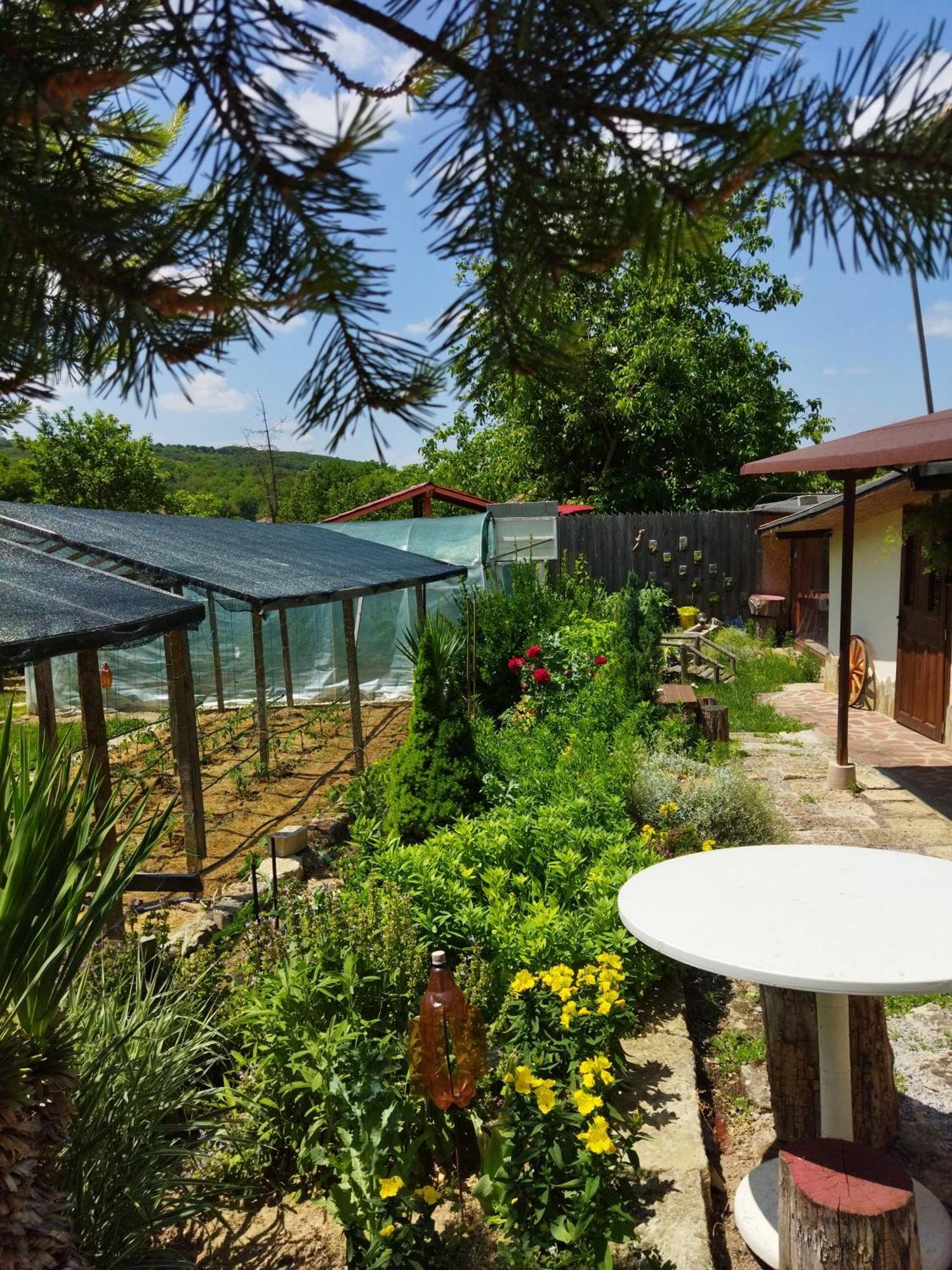 Къща Под Наем Petrova Otel Cherven  Dış mekan fotoğraf